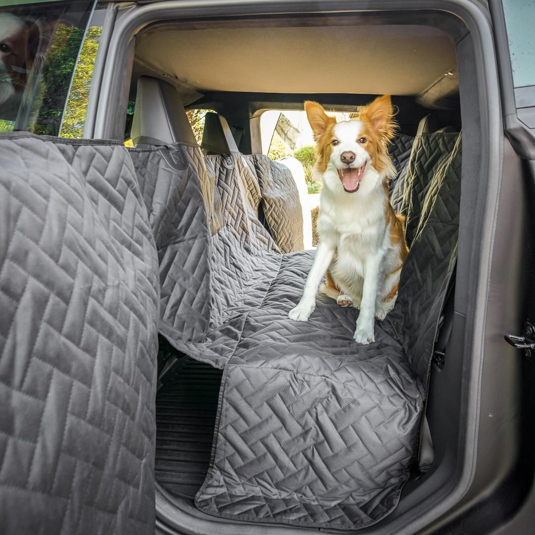 Cybercab Robotaxi Introducing the MARSACCS Cybertruck Pet Cover for Dogs & Pets – Share Your Thoughts! 1