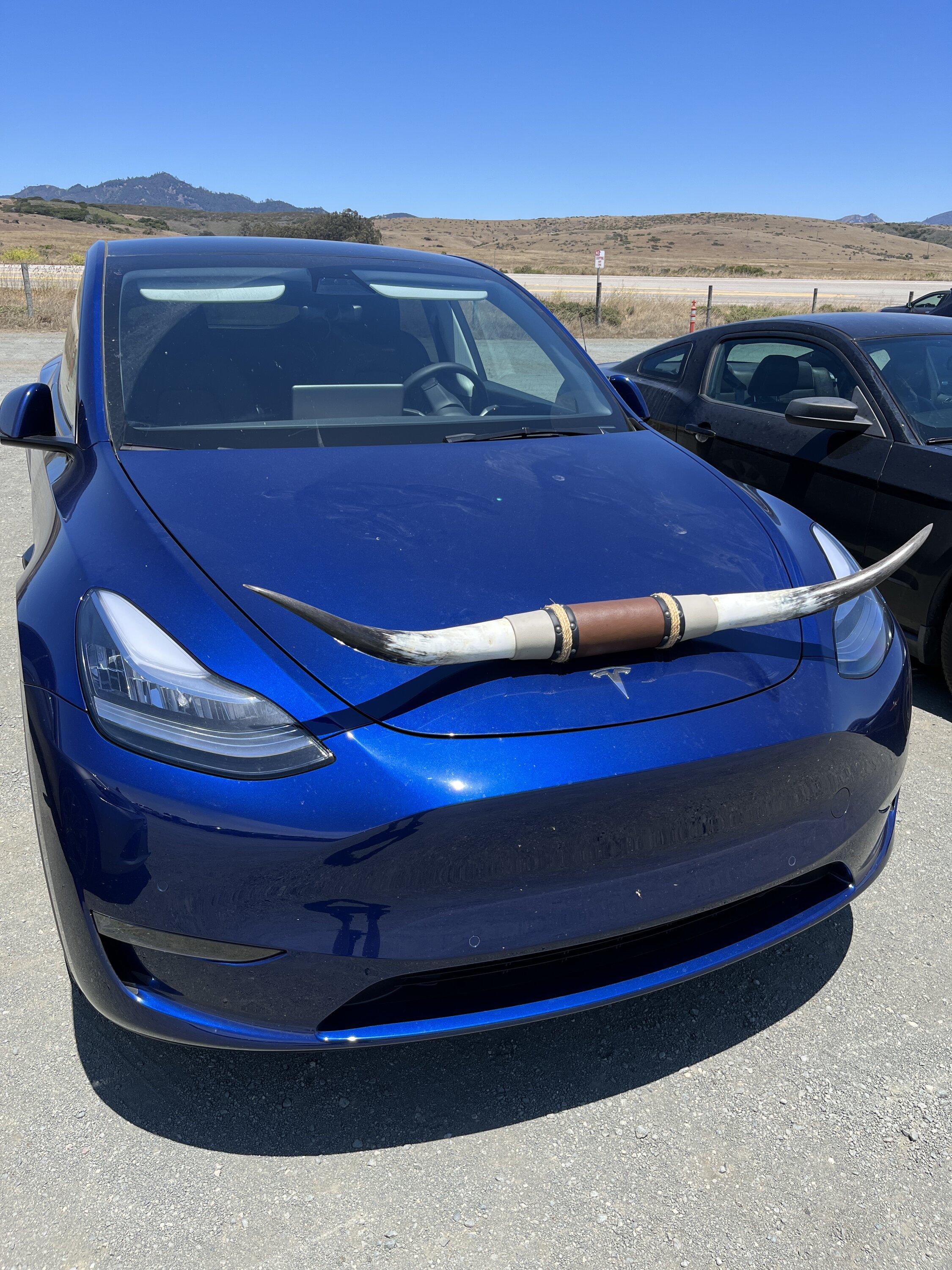 Cybercab Robotaxi Austin Model Y ("Longhorn" edition?) spotted in California, Central Coast area IMG_3202.JPG