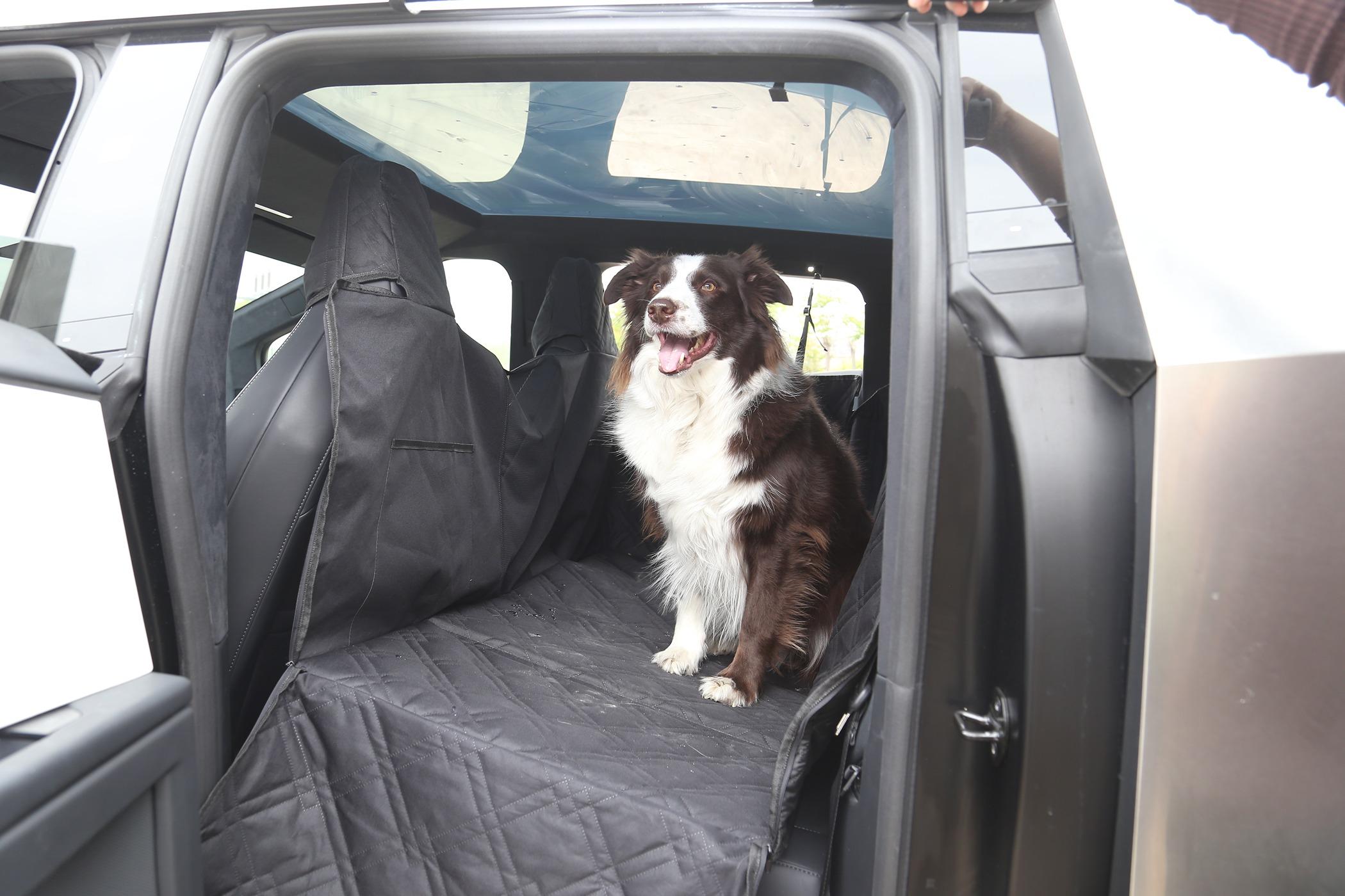 Cybercab Robotaxi ELECFRESH | Product Testing | Cybertruck Backseat Pet Cover Solution IMG_5357.JPG